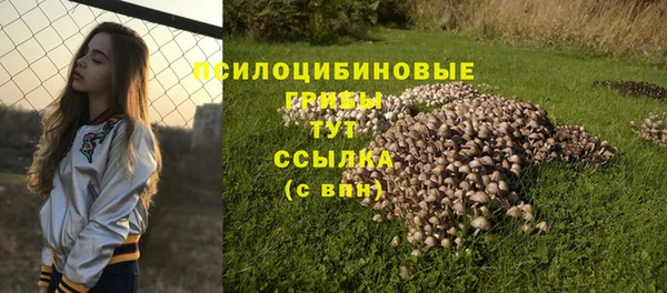 ALPHA PVP Володарск