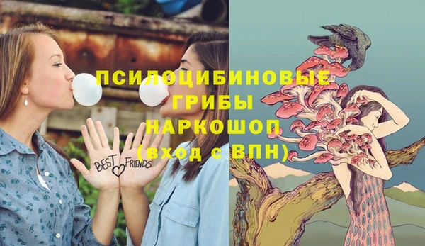 ALPHA PVP Володарск