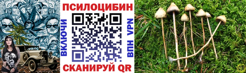 Галлюциногенные грибы Cubensis Купить Советская Гавань